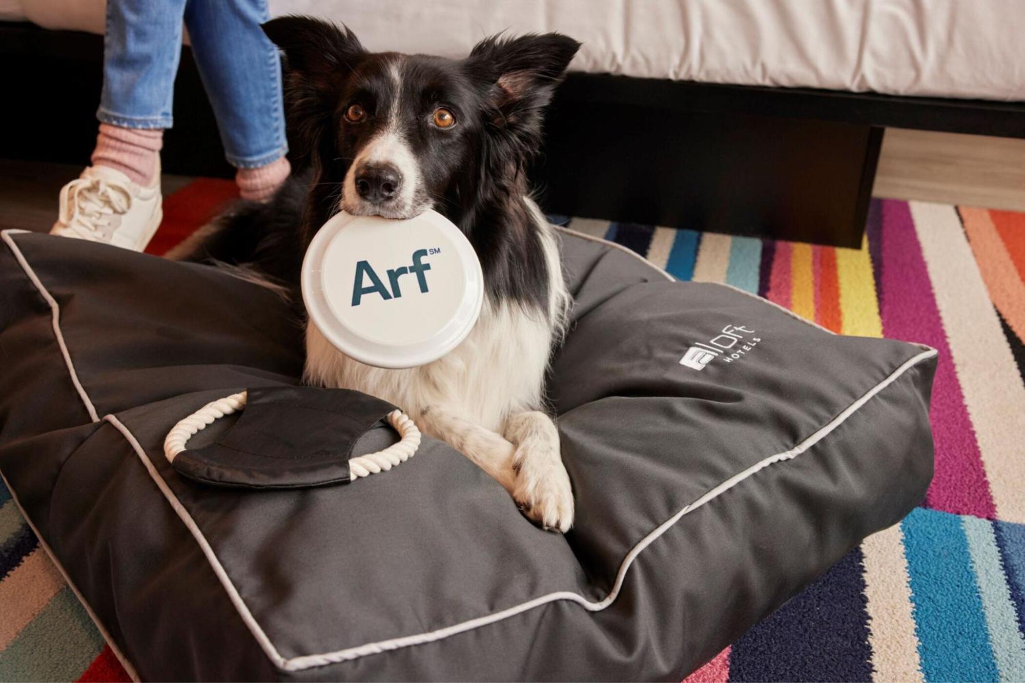 Aloft Dublin City Bagian luar foto